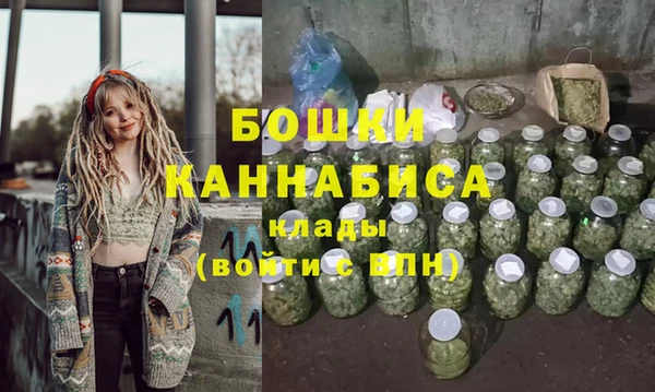 ALPHA PVP Краснослободск