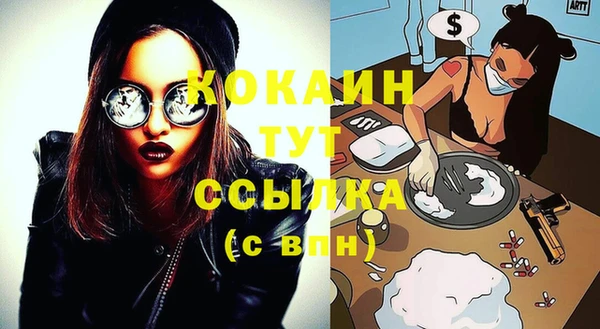 соль ск Коряжма