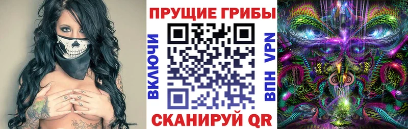 Купить где  Беслан  Псилоцибиновые грибы GOLDEN TEACHER 